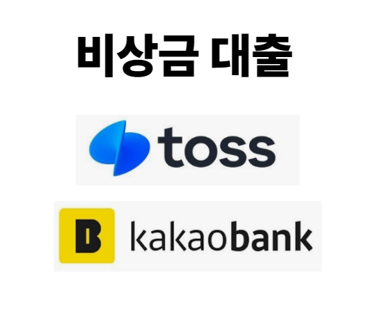 비상금 대출